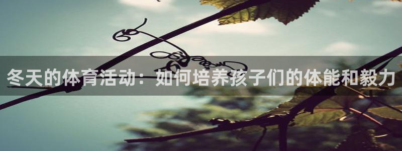 3377体育官方正版app官方