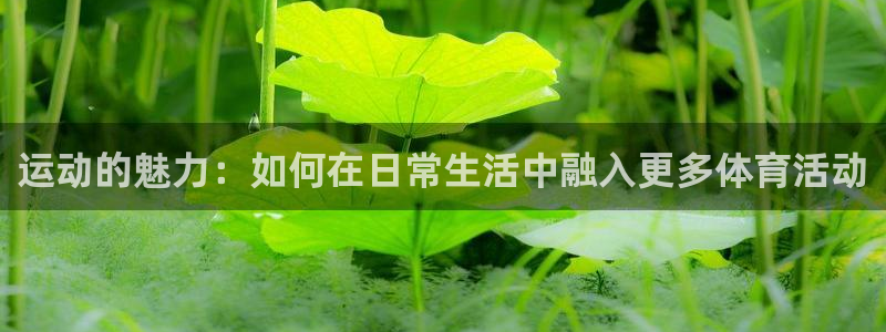 3377体育官网下载平台是正规平台吗安全吗：运动的魅