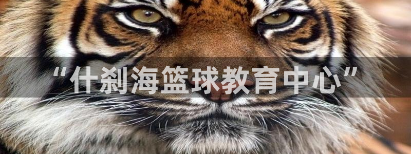3377体育官网下载平台假的吗是真的吗