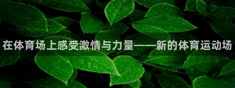 3377体育官方正版app娱乐：在体育场上感受激情与