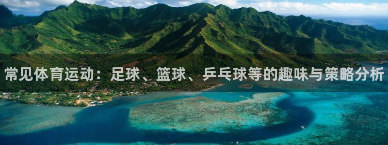 注册3377体育官方正版app：常见体育运动：足球、