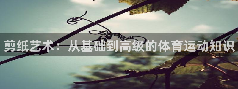3377体育官网下载：剪纸艺术：从基础到高级的体育运