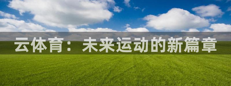 3377体育官方正版app集团