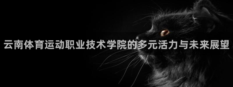 3377体育官网下载平台是正规平台吗安全吗