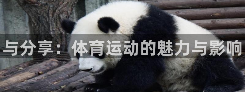3377体育官网下载招商电话号码是多少啊