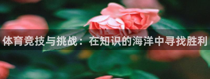 3377体育官方正版app科技：体育竞技与挑战：在知