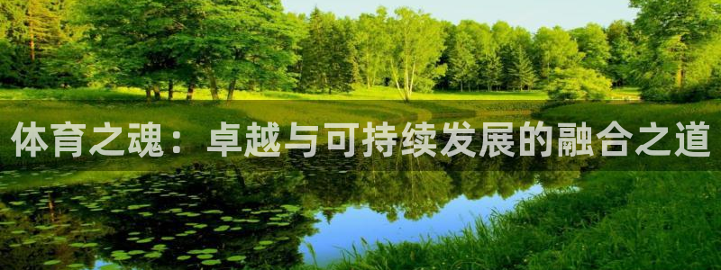 3377体育官方正版app集团