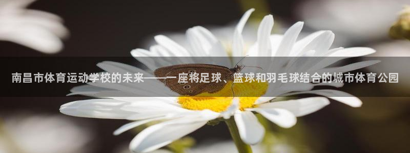 3377体育官方正版app五金厂：南昌市体育运动学校