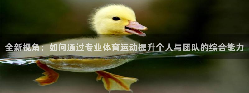 3377体育官方正版app集团官网网址：全新视角：如何通过专