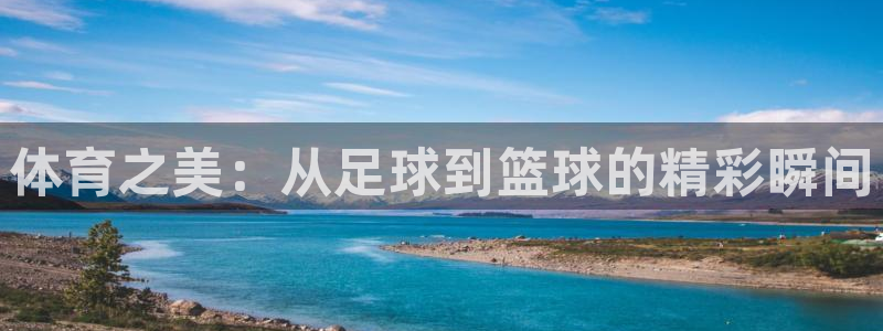 3377体育官网下载招商电话地址查询：体育之美：从足