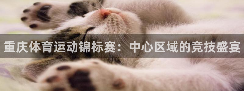 3377体育官网下载平台：重庆体育运动锦标赛：中心区