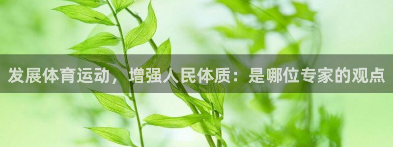 3377体育官方正版app集团：发展体育运动，增强人
