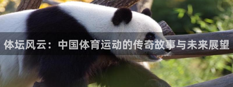3377体育官网下载注册：体坛风云：中国体育运动的传