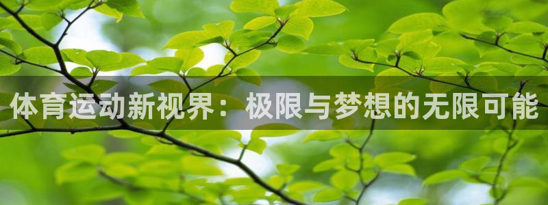 3377体育官方正版app科技：体育运动新视界：极限