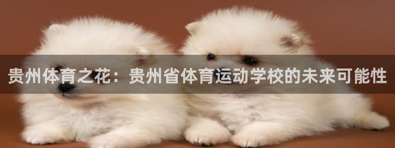 海南3377体育官网下载发展怎么样：贵州体育之花：贵州省体育