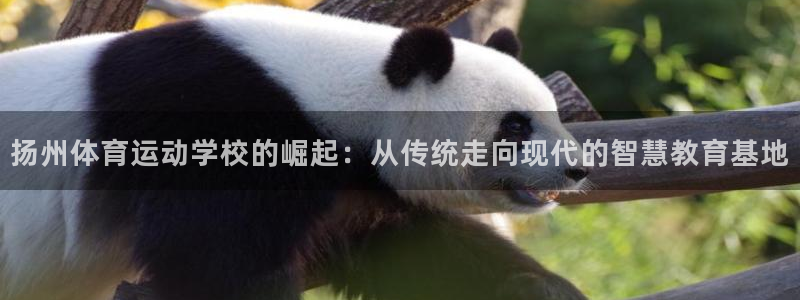 3377体育官网下载招商电话地址查询：扬州体育运动学校的崛起