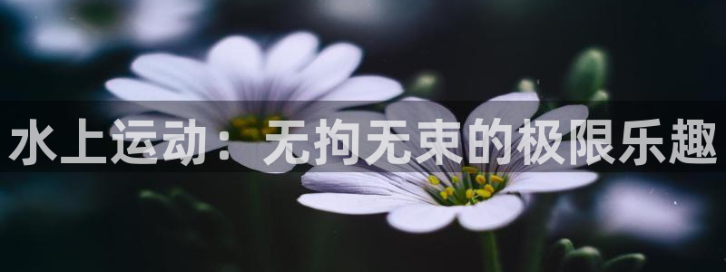 3377体育官网下载娱乐