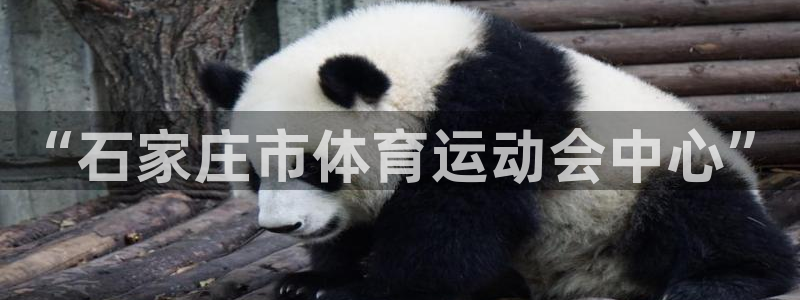 3377体育官网下载平台假的吗是真的吗吗：“石家庄市体育运动