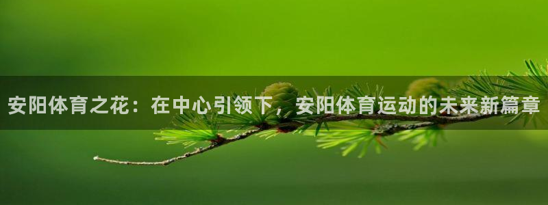 3377体育官网下载招商电话号码是多少号