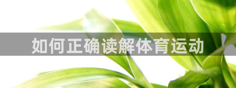 3377体育官方正版app娱乐是那个系列的台子：如何正确读解