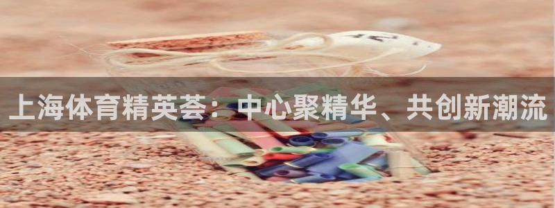 3377体育官网下载平台注册：上海体育精英荟：中心聚