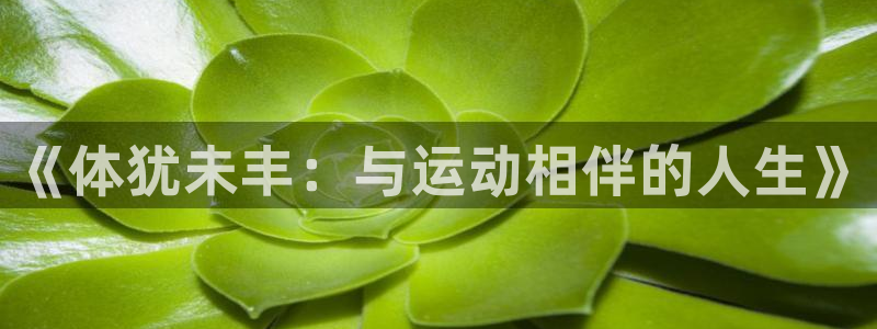 3377体育官方正版app集团logo：《体犹未丰：