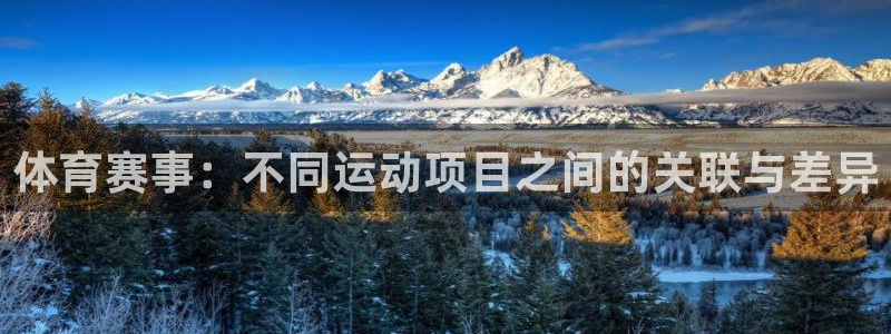 3377体育官方正版app集团简介：体育赛事：不同运动项目之