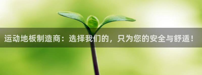 3377体育官网下载平台：运动地板制造商：选择我们的，只为您